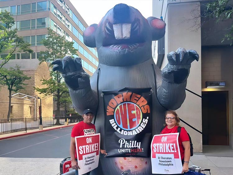 solidarity1