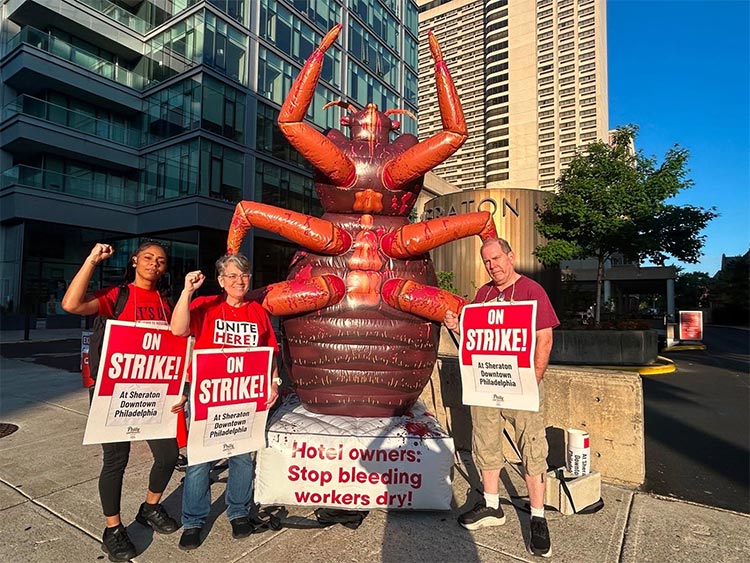 solidarity3