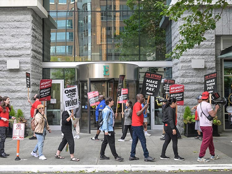 solidarity4